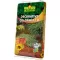 FLORIA Decor. ColorMulch oranžová 70 l