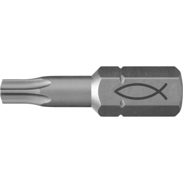 Fischer T40 Profi bit FPB W 10
