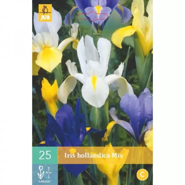Kosatec - Iris Hollandica Mix (25 cibulí) "B"