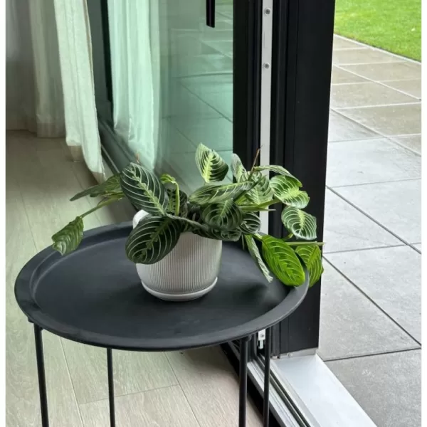Květináč keramický s podmiskou 20cm bílá mat
