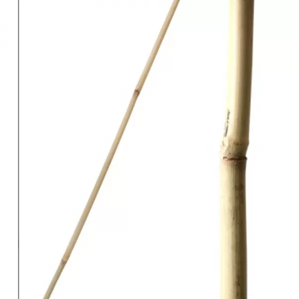 Tyč bambusová 270cm 20-22mm
