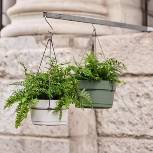 Mísa závěsná LOTUS 32cm samozavlažovací taupe