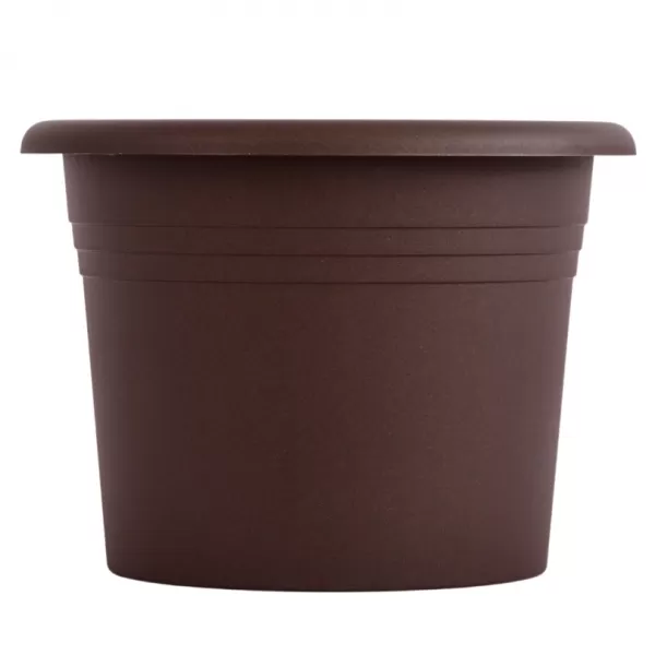 Obal Narcis - čokoládový 30 cm