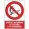 TABULE bezpečnostní Zákaz vstupu s plamenem 12119 A4