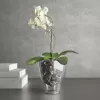 Obal na orchidej FLORA 13x13cm oranžový