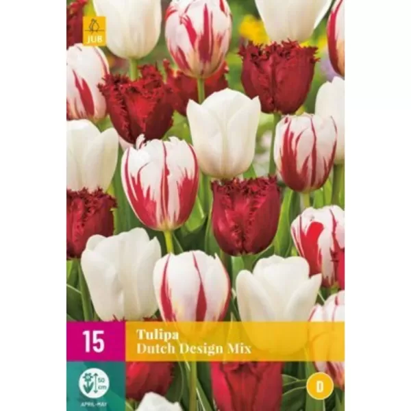 Karta-Narcis-Large cup mix (5cibulí) B