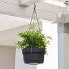Mísa závěsná LOTUS 32cm samozavlažovací antracit