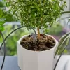 Gardena Zavlažování o dovolené - sada