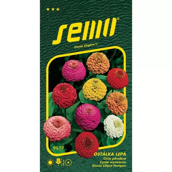 Ostálka lepá - Double lilipup (pomponkovitá) 0,7g