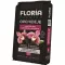 FLORIA Substrát pro orchideje 3L