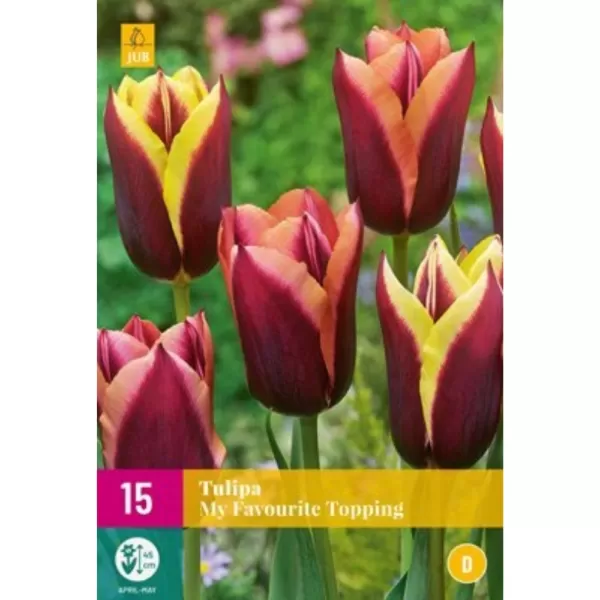 Karta - Narcis - Botanical Mix (10 cibulí) "C"