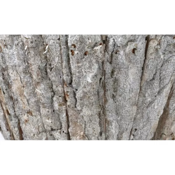 Obal z kůry pr.17cm