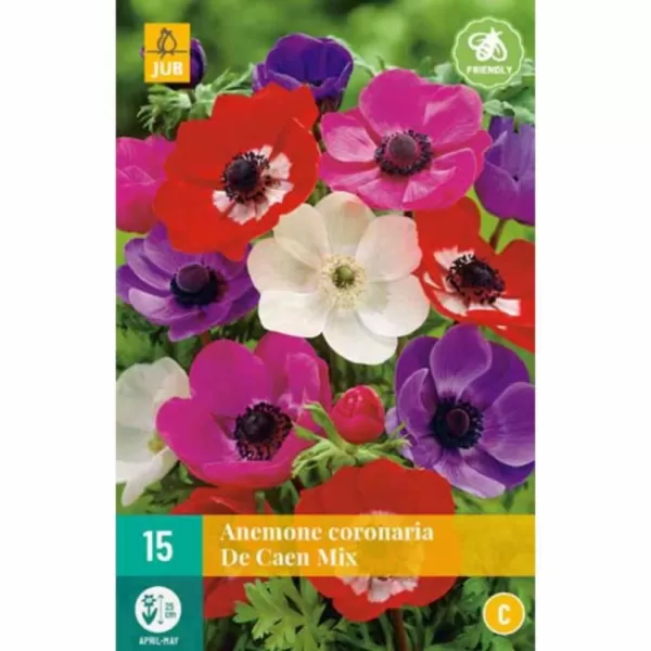 Karta - Sasanka - Anemone Coronaria de Caen Mix NJ (15 cibulí) "B"
