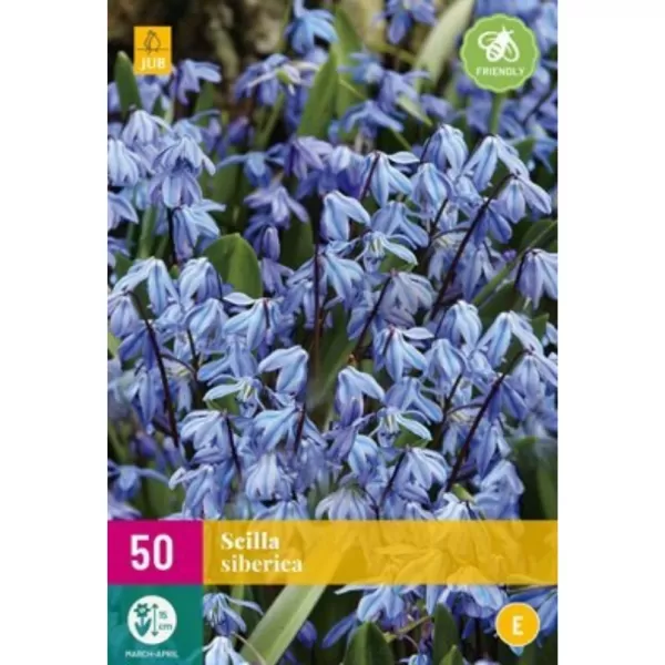 Karta - Ladoňka - Scilla Siberica ( 50cibulí ) E