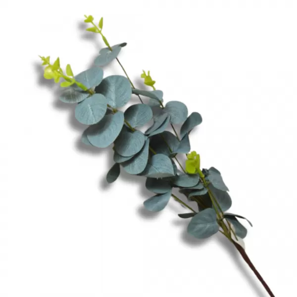 Dekorace - Eukalyptus zelený 69cm