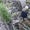 EMOS 50LED SOLAR TREE S/5 WW DCTW24