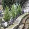 EMOS 50LED SOLAR TREE S/5 WW DCTW24