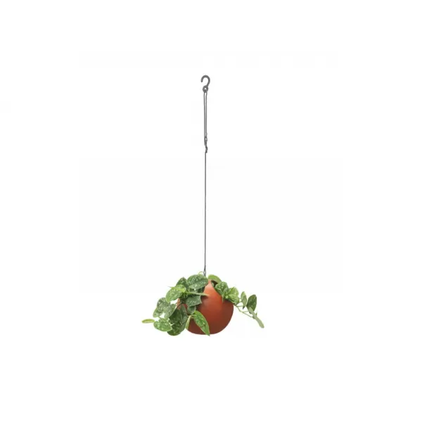 Obal B. For Soft Air- brique 18cm
