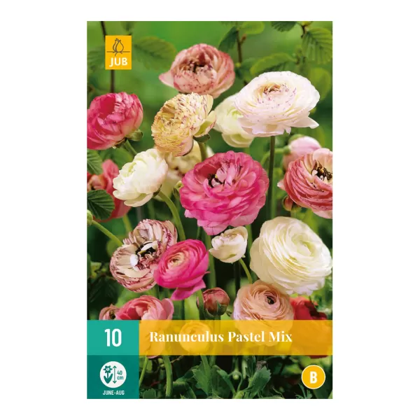 Karta - Pryskyřník - Ranunculus Pastel Mix (10 cibulí) "B"