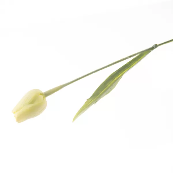 Květina UH tulipán zelený 40 cm