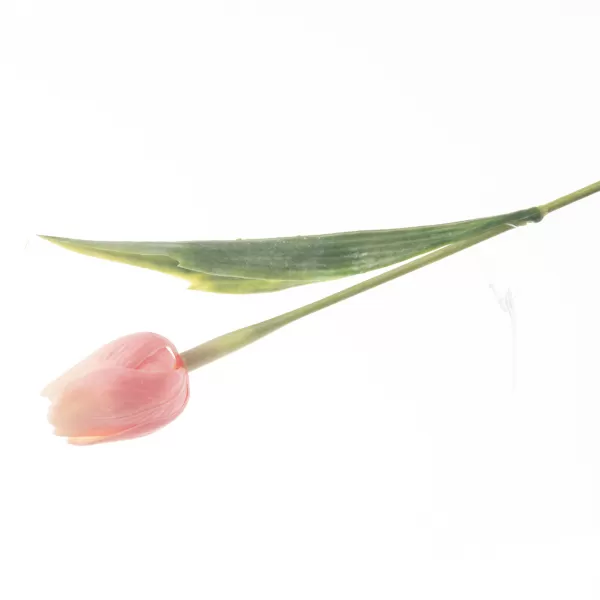 Květina UH tulipán pastelový korálový 40 cm